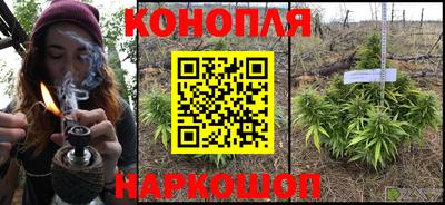 Альфа ПВП Бийск