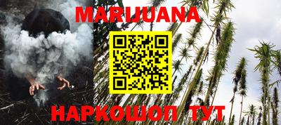 Альфа ПВП Бийск