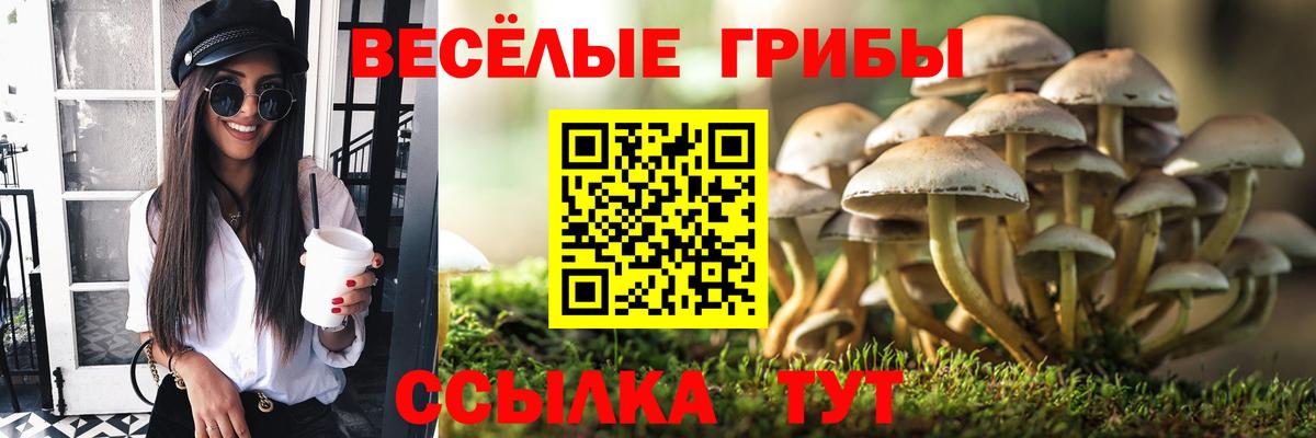 Галлюциногенные грибы MAGIC MUSHROOMS  Моздок 